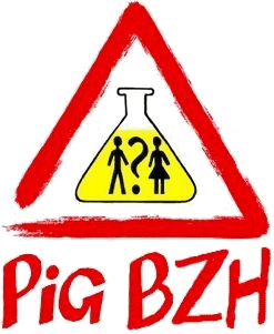 Logo PIG BZH